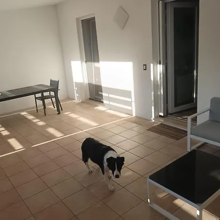 Suan * סנט'איזידורו